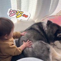 ジジちゃんの名前を呼ぶ赤ちゃん