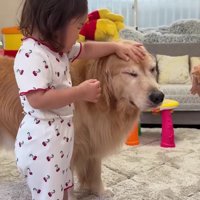 保護猫たちとの暮らし