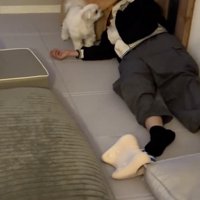 横になって腕を持ち上げる飼い主