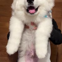 すくすく成長して…