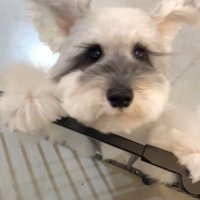あまりにも愛おしい姿♡