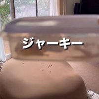 自家製ジャーキー