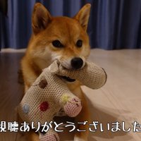 花子ちゃん、よかったね♪