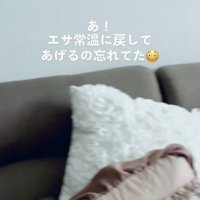 ご飯が遅れた時のむぎ君