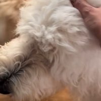 頭をヨシヨシ…♪