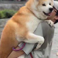 リラックスしているおはるちゃん