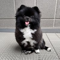 秘密