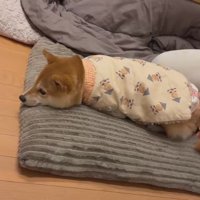 抱っこで寝室に移動したい！？