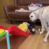 サンちゃんも嬉しそう