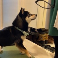 まさかの人見知りモード