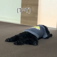 悲壮感がすごい…！