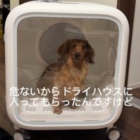 「ぼくも食べたい…！」