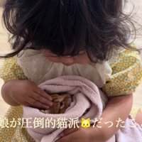 家族は子猫のことが大好きに