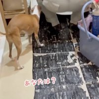 「あの時の…？」