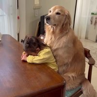 「まだかなあ…」