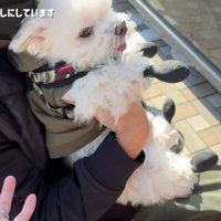 パパさんと1ヶ月ぶりに再会