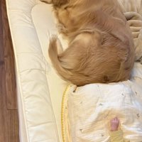 いつだって見守ってるよ