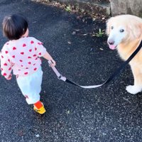 女の子とベルちゃんのお散歩4