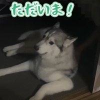 あまりにもそっけない