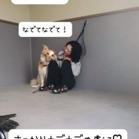 撫でてほしいそらくん