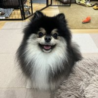 ニパッ