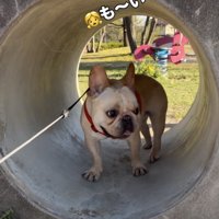 「もーいーど〜」