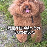 幸せが伝わる笑顔にホッコリ