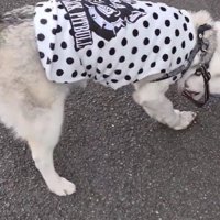 「堅さはどうかな？」