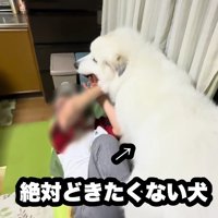 もみあいになるも…