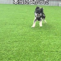 楽しそうな笑顔にホッコリ
