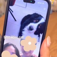 首をかしげるハリーくん