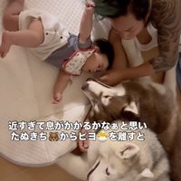 赤ちゃんを離すと…