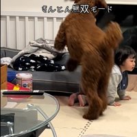 きんとん君VS男の子4