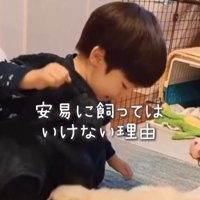 エルくんと男の子2