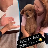 ドルくんの家族への態度の差7