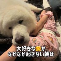 娘を起こしに行ったら…