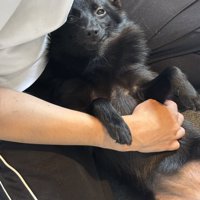 美しい