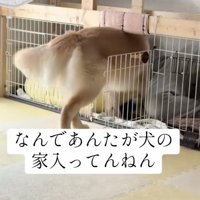 「入りますよ〜」