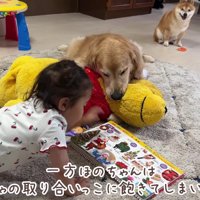流れが変わった…