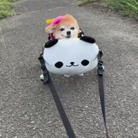 楽しそうな表情にホッコリ♡