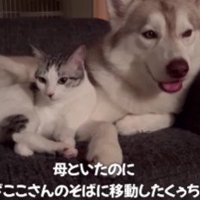 わざわざ移動してきたくぅちゃん