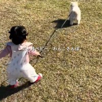 もち君と赤ちゃんのお散歩