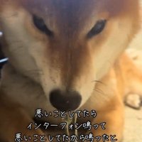 イタズラ中のぬん君5