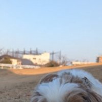 遠くから