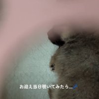 スヤスヤと熟睡♡