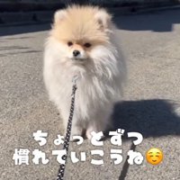 これから慣れて行こう