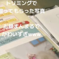 はたしてどんな写真なのでしょう？