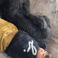 お昼寝しながら寄り添う