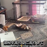 まさかの爆睡中！