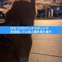 文句を言っています！